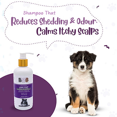 BWB LONG COAT SHAMPOO BWB LONG COAT SHAMPOO