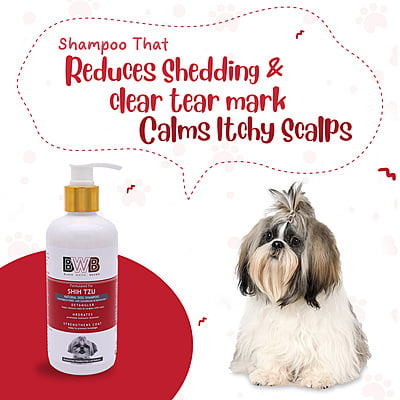 BWB SHIHTZU SHAMPOO BWB SHIHTZU SHAMPOO