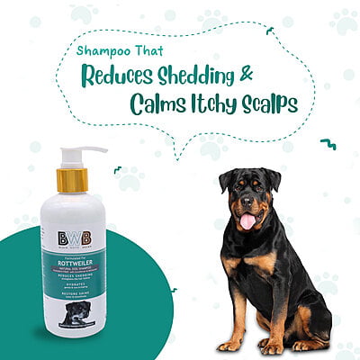 BWB ROTTWEILER SHAMPOO BWB ROTTWEILER SHAMPOO