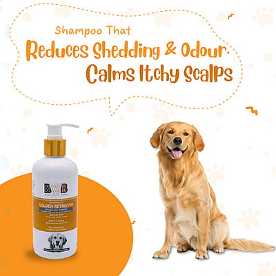BWB GOLDEN RETRIEVER SHAMPOO BWB GOLDEN RETRIEVER SHAMPOO