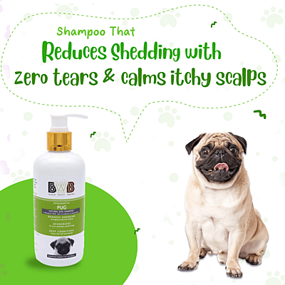 BWB PUG SHAMPOO BWB PUG SHAMPOO