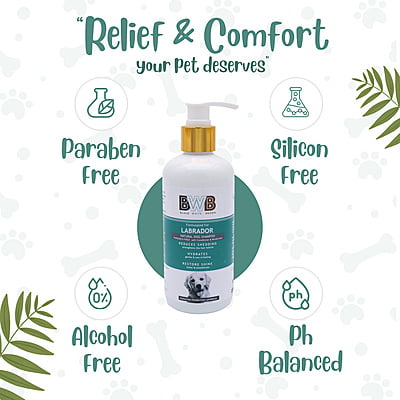 BWB LABRADOR SHAMPOO BWB LABRADOR SHAMPOO