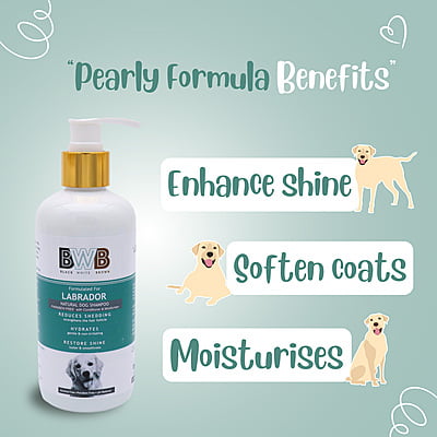BWB LABRADOR SHAMPOO BWB LABRADOR SHAMPOO