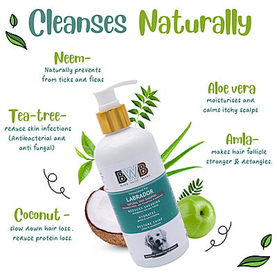 BWB LABRADOR SHAMPOO BWB LABRADOR SHAMPOO