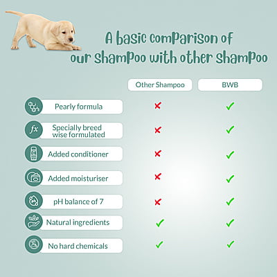 BWB LABRADOR SHAMPOO BWB LABRADOR SHAMPOO