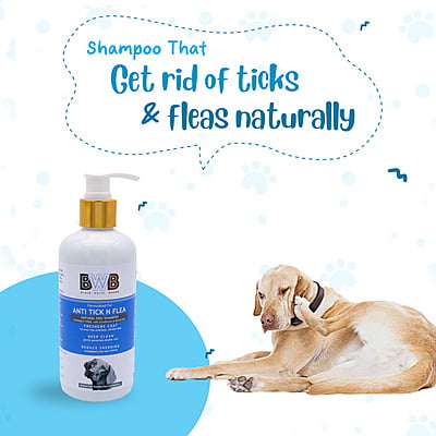 BWB ANTI-TICK SHAMPOO BWB ANTI-TICK SHAMPOO
