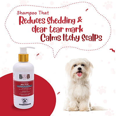 BWB MALTESE SHAMPOO BWB MALTESE SHAMPOO