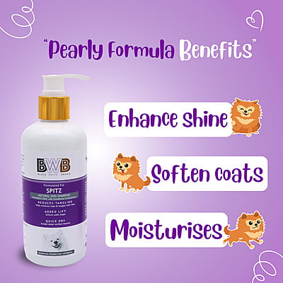 BWB SPITZ SHAMPOO BWB SPITZ SHAMPOO