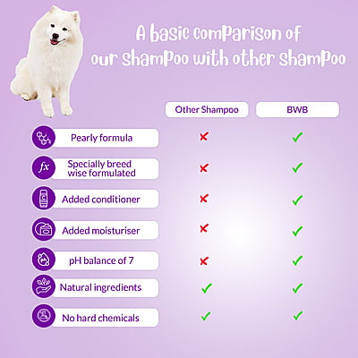 BWB SPITZ SHAMPOO BWB SPITZ SHAMPOO