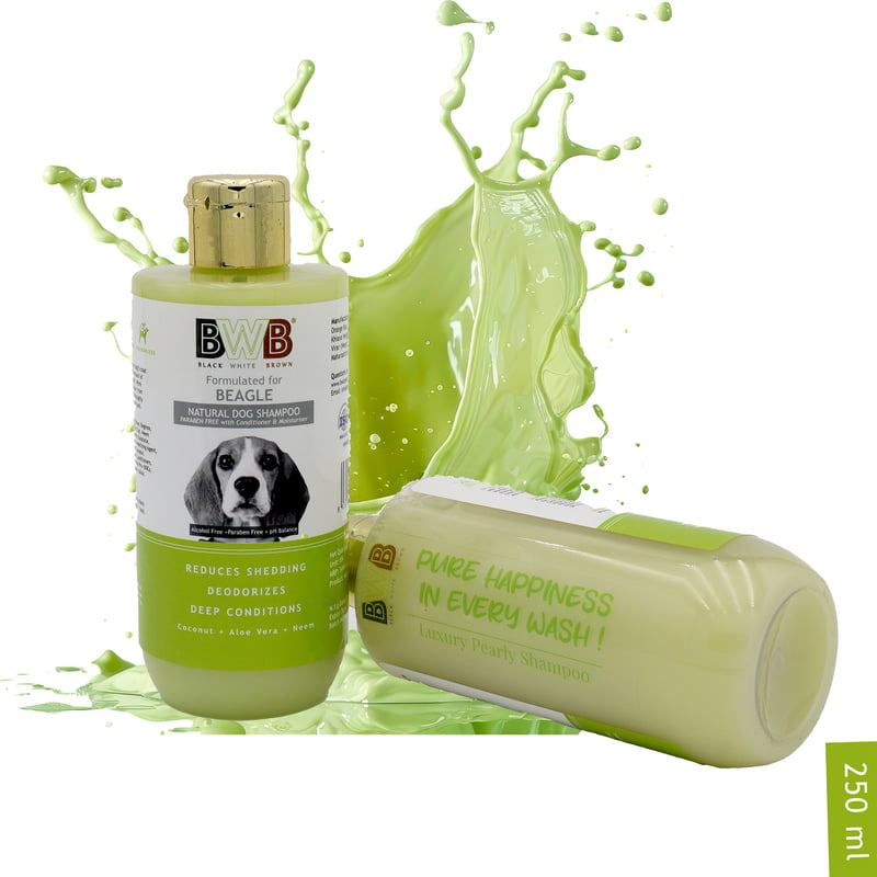 BWB BEAGLE SHAMPOO_250ML BWB BEAGLE SHAMPOO_250ML