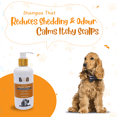 BWB COCKER SPANIEL SHAMPOO BWB COCKER SPANIEL SHAMPOO