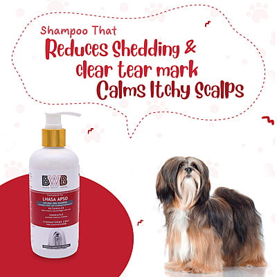 BWB LHASA APSO SHAMPOO BWB LHASA APSO SHAMPOO
