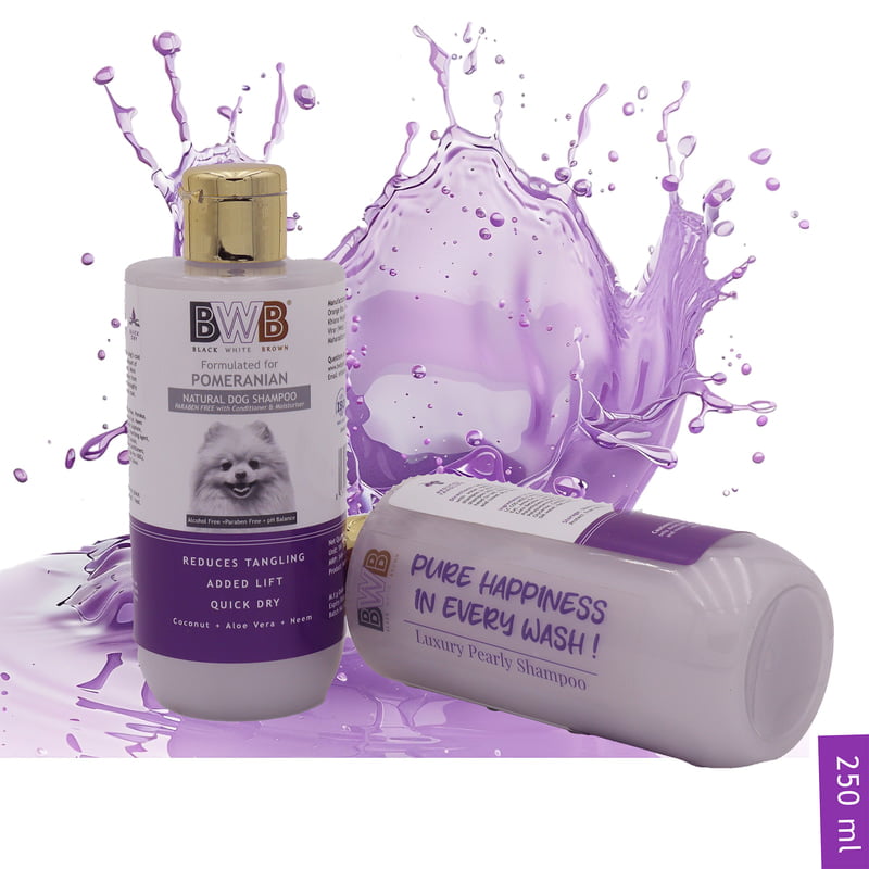 BWB SPITZ SHAMPOO_250ML BWB SPITZ SHAMPOO_250ML